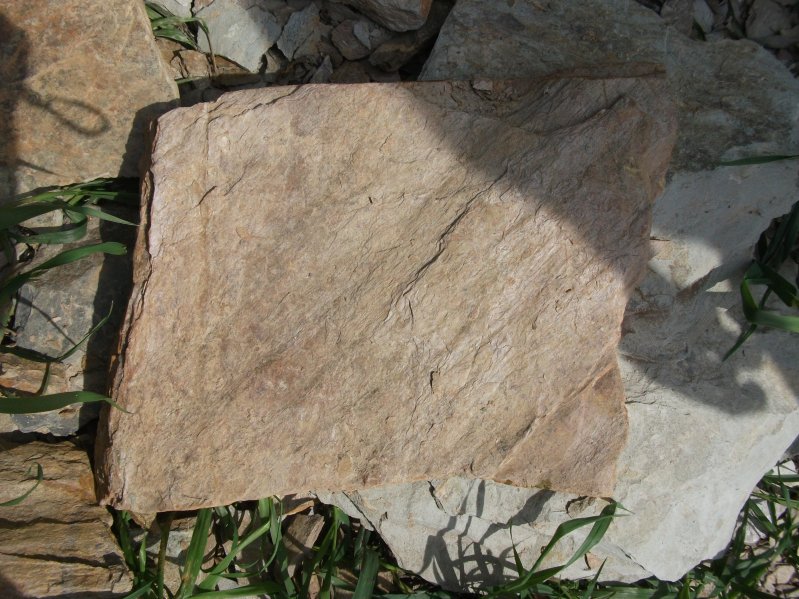 картинка Кварцитовый сланец Золотистый от интернет-магазина природного камня "Аквилон"