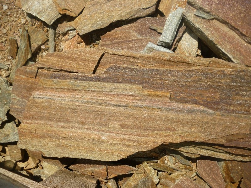 картинка Плитняк Кора дерева от интернет-магазина природного камня "Аквилон"