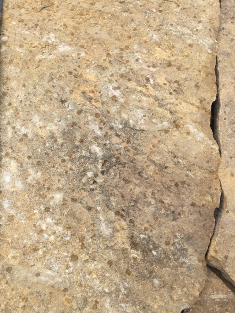 картинка Песчаник Желтый 3 см от интернет-магазина природного камня "Аквилон"