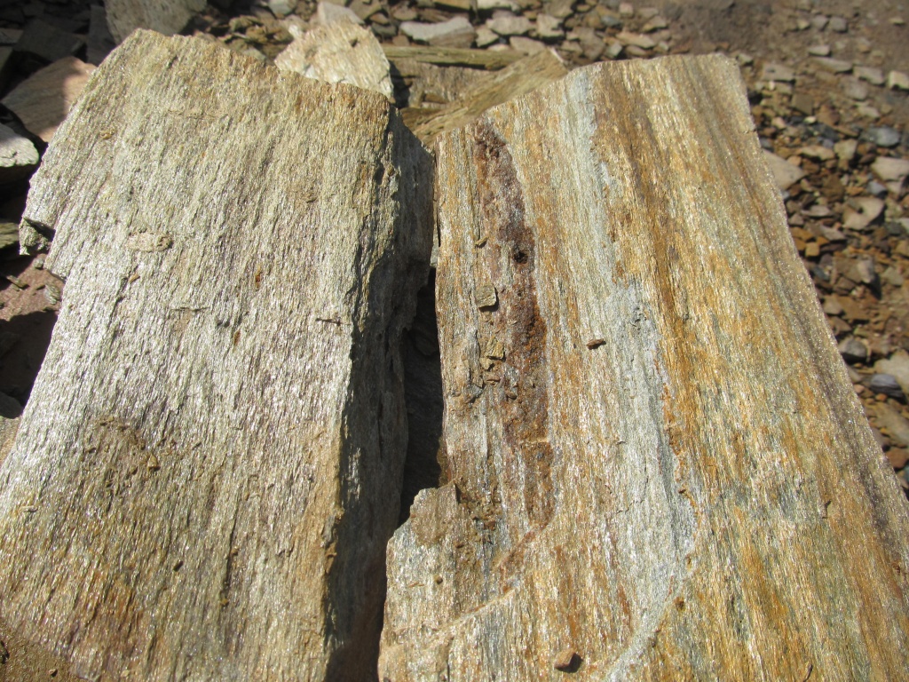 картинка Плитняк Кора дерева от интернет-магазина природного камня "Аквилон"